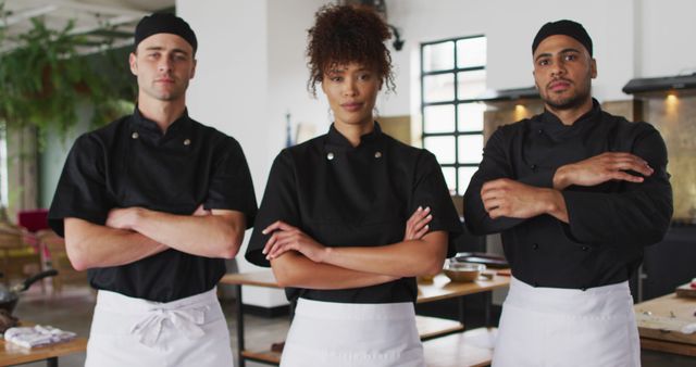 Confident Multicultural Restaurant Chefs Standing with Arms Crossed - Download Free Stock Images Pikwizard.com