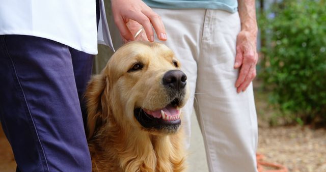 Happy golden retriever getting pat on head from two people outdoors, conveying warmth, companionship, and the joy of pet ownership. Ideal for use in ads, articles, and websites focusing on pet care, animal therapy, and human-animal bonding.