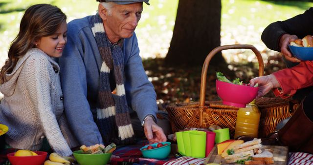 Grandfather and Granddaughter Enjoying Picnic in the Park - Download Free Stock Images Pikwizard.com