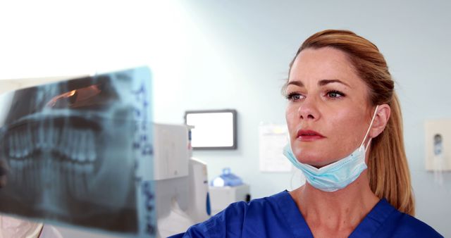 Female Dentist Examining Dental X-ray in Clinic - Download Free Stock Images Pikwizard.com