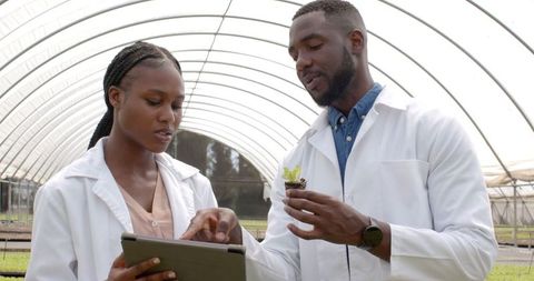 Scientists discussing hydroponic techniques in greenhouse with tablet