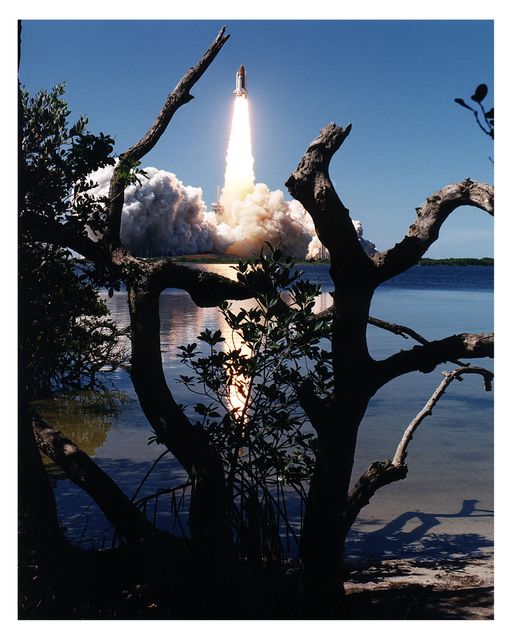 Space Shuttle Columbia seen ascending from Launch Pad 39A framed by tree branches with the space shuttle's trail glowing brilliantly, captured on April 4, 1997, at 2:20:32 p.m. EST. This memorable launch was part of the 16-day Microgravity Science Laboratory (MSL-1) mission. The impressive sight of space shuttle launch can be used in articles, documentaries, educational materials, and multimedia presentations focused on space exploration, scientific research, and NASA missions.