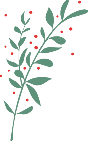 Branch of leaves and berries on transparent background
