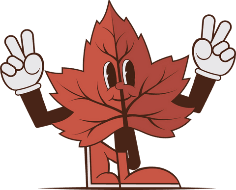 cheerful maple leaf character with transparent background and playful pose - Download Free Stock Videos Pikwizard.com