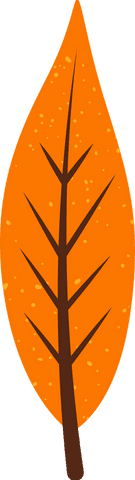 Stylized Orange Leaf with Brown Veins on Transparent Background - Download Free Stock Videos Pikwizard.com