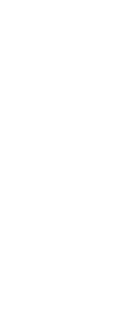 Silhouette of Businesswoman on Transparent Background