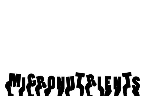 Transparent Illustration of Hands with Micronutrients Concept