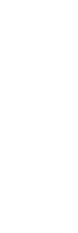 Minimalist transparent botanical leaf illustration for eco layouts