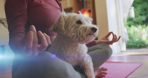 Woman Meditating with Dog in Cozy Home Yoga Session