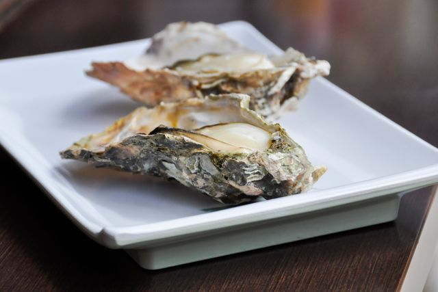 Fresh oysters served on a white plate, highlighting a gourmet seafood delicacy. Suitable for illustrating fine dining, seafood dishes, restaurant menus, culinary arts, and gastronomy expertise.