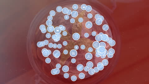 Animated Connected Global Network of Technology Icons