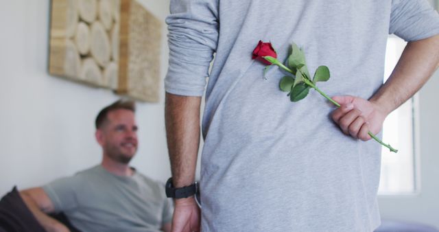 Romantic Surprise with Red Rose in Living Room - Download Free Stock Images Pikwizard.com