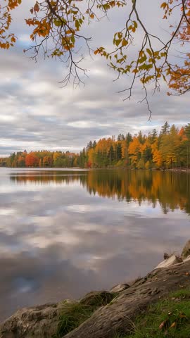 Vertical video capturing autumn lake reflecting colorful foliage under overhanging branches