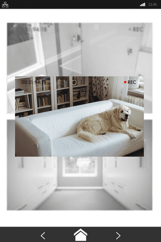transparent digital interface with dog on security camera - Download Free Stock Videos Pikwizard.com