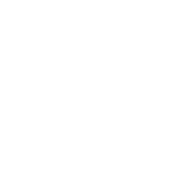 Transparent Silhouette of Hand Holding Flag in PNG Format - Download Free Stock Videos Pikwizard.com