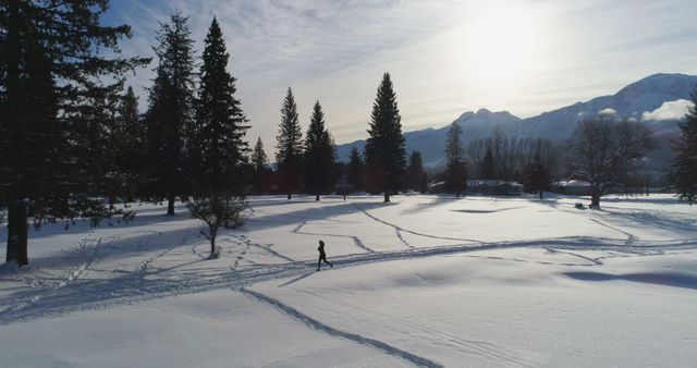 Lone Figure Walking Through Snowy Winter Landscape at Sunset - Download Free Stock Images Pikwizard.com