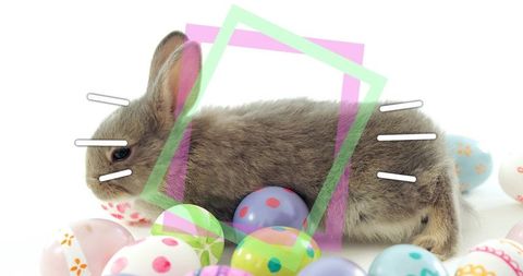 Soft gray-brown bunny lying among pastel easter eggs with playful graphic overlays
