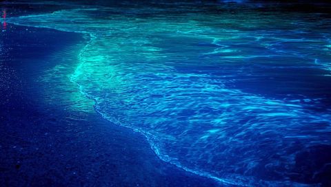 Bioluminescent surf glowing along curved night shoreline with luminous blue waves