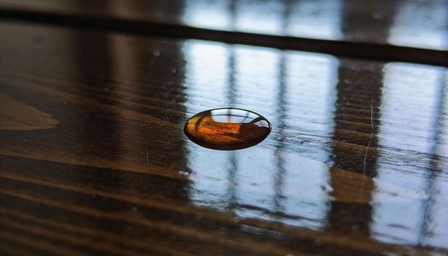 Amber droplet reflecting window grid on glossy dark wood tabletop with natural daylight