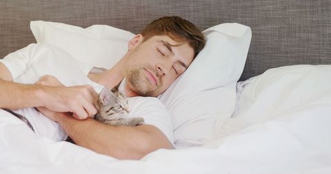 Peaceful Young Man Sleeping with Cat in Cozy Bedroom - Download Free Stock Images Pikwizard.com