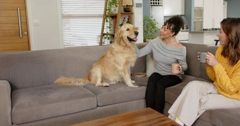 Two women petting golden retriever on gray sofa enjoying cozy living room coffee chat