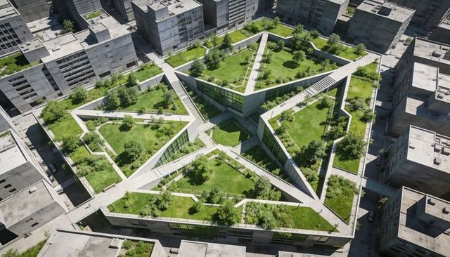 Aerial view featuring star-shaped rooftop garden with pentagonal geometric terraces