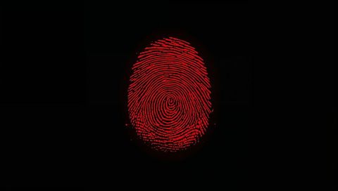 Red fingerprint scanning black sensor surface highlighting whorl ridge pattern and texture