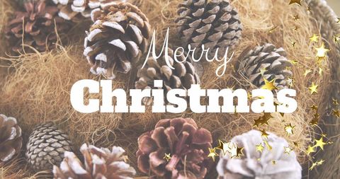 Festive Pine Cones Arrangement with Golden Twinkle