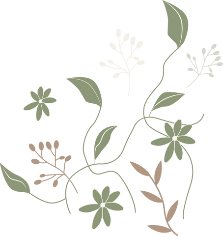 elegant vines with flowers and leaves on transparent background - Download Free Stock Videos Pikwizard.com
