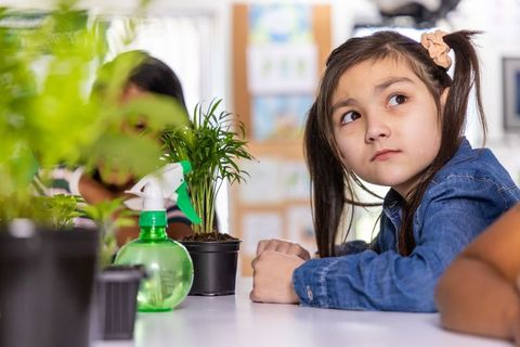 Curious girl in classroom exploring plants with spray bottle during science activity