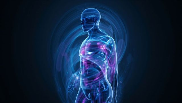 Futuristic 3d holographic human anatomy with glowing energy waves