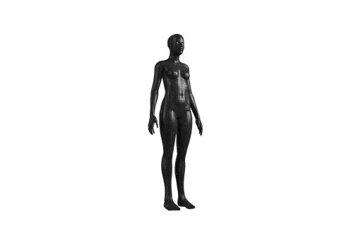 human silhouette of black woman on transparent background vector art - Download Free Stock Videos Pikwizard.com
