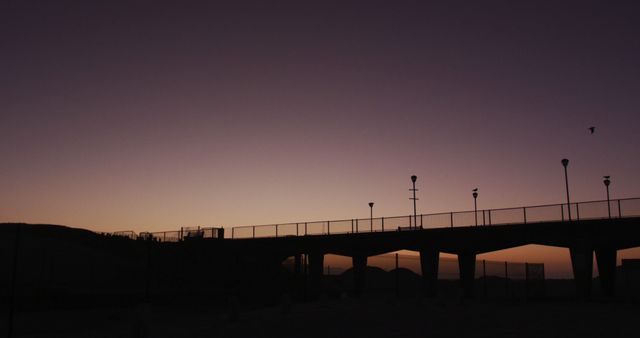 Silhouette of a bird flying over a bridge and street lamps at sunset. atmospheric clear purple sky in background.