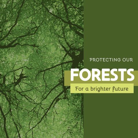 forest conservation for a brighter future - Download Free Stock Templates Pikwizard.com