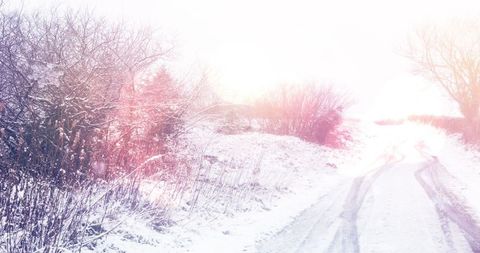 Serene Snow-Covered Winter Landscape at Sunrise - Download Free Stock Images Pikwizard.com