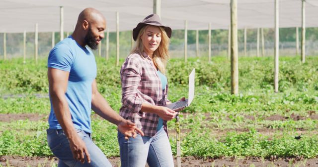 Diverse Farmers Discussing Crops in Greenhouse on a Sunny Day - Download Free Stock Images Pikwizard.com