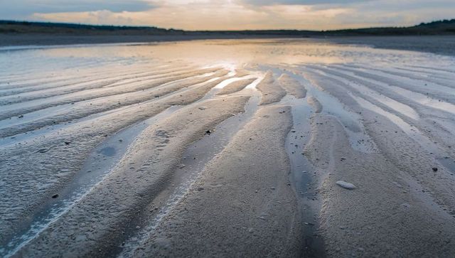 Wet sand ripples reflecting sunset on tidal flat with shallow channels