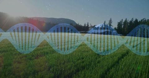 DNA Helix Overlay on Sunlit Meadow with Scenic Forest Backdrop