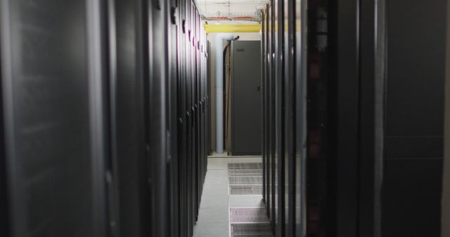 Modern Data Center Servers in Dimly Lit Environment - Download Free Stock Images Pikwizard.com