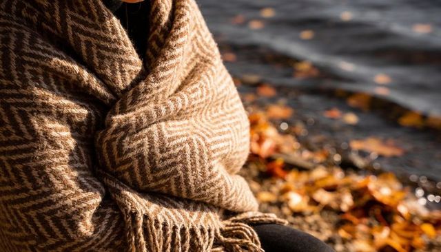 Sunlit autumn lakeside solitude wrapped in beige herringbone wool blanket by rippling water