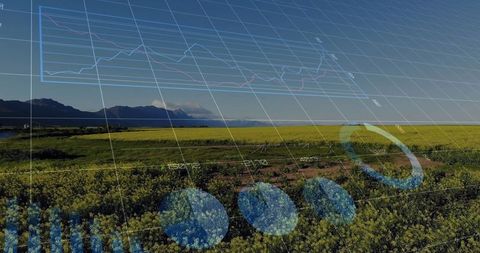 Futuristic data visualization over flourishing yellow crops
