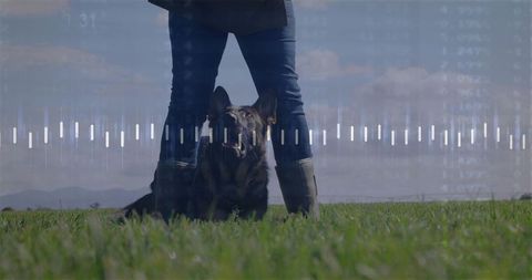 Dog and handler in peaceful field with audio waveform overlay