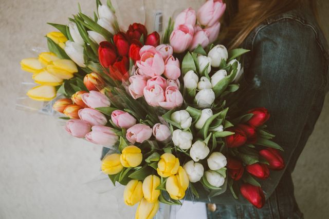 Woman Holding Pink White Red and Yellow Tulips - Download Free Stock Photos Pikwizard.com