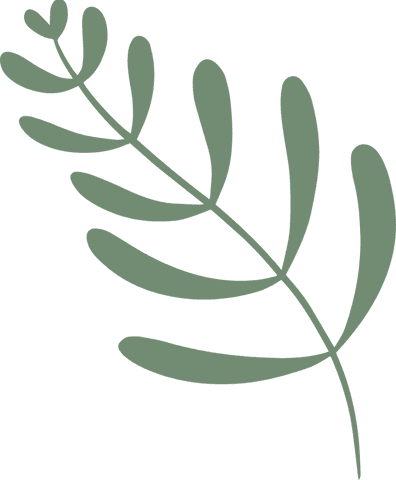 Minimalist Green Botanical Sprig with Twelve Leaves on Transparent