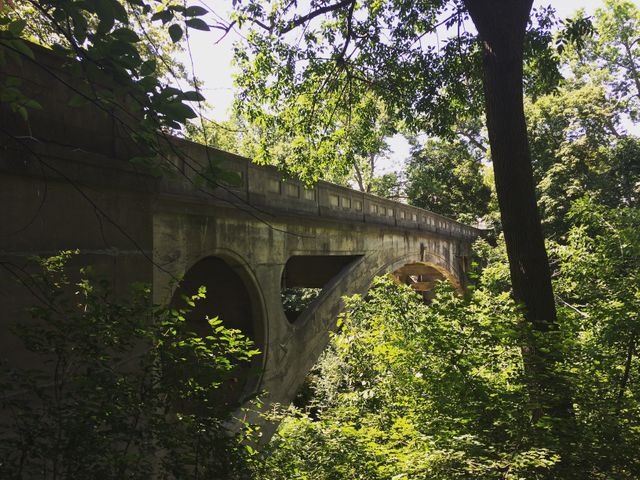 Old stone bridge surrounded by dense forest and lush greenery. Suitable for nature or travel themes, architectural or historical projects, serene and peaceful concept visuals, or rustic and scenic mood presentations.