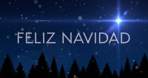 Feliz Navidad Festive Winter Season Greeting