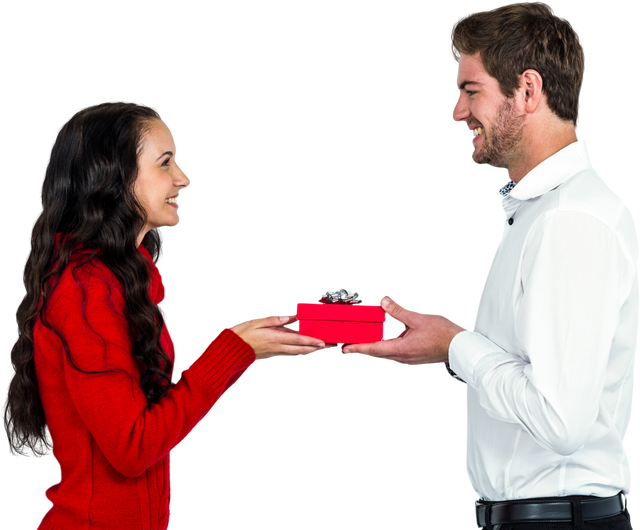 Smiling Couple Exchanging Gift Box on Transparent Background - Download Free Stock Videos Pikwizard.com