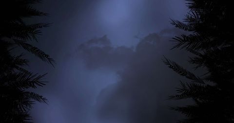 Stormy Night Sky With Dark Clouds Framed by Silhouetted Trees - Download Free Stock Images Pikwizard.com