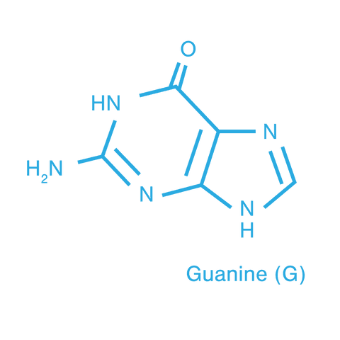 transparent structural diagram of guanine molecule - Download Free Stock Videos Pikwizard.com