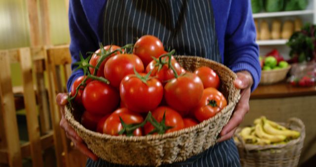 Person Holding Basket of Fresh Red Tomatoes in Farmers Market - Download Free Stock Images Pikwizard.com